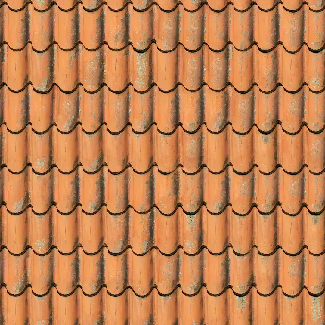 Roof Inspection